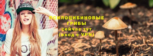 дурь Алексеевка
