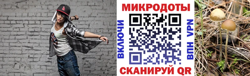 kraken зеркало  купить   Сафоново  Псилоцибиновые грибы мухоморы 