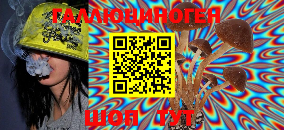 Галлюциногенные грибы MAGIC MUSHROOMS  Вход с VPN  где найти наркотики  Сафоново 